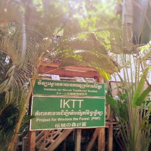 IKTT伝統の森